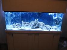 My new SW tank