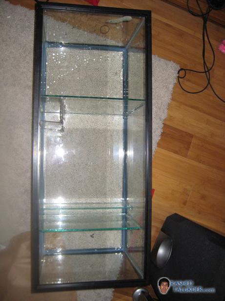 Sump tank pictures