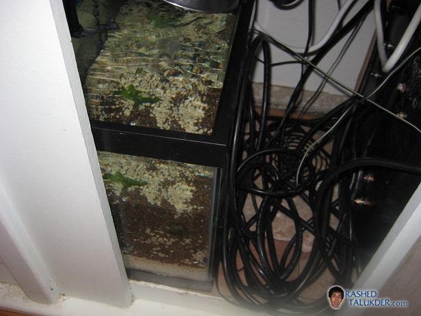 Sump Tank Installed